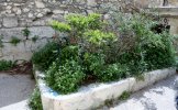 Lavoir de ORGON