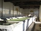 Lavoir de MAUSSANNE LES ALPILLES