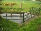 Lavoir de VILLERS CANIVET