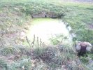 Lavoir de JUILLAC LE COQ