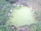Lavoir de JUILLAC LE COQ