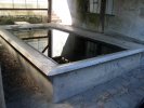 Lavoir de CONFOLENS