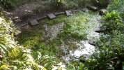 Lavoir de BUSSAC SUR CHARENTE