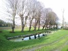 Lavoir de DOMPIERRE SUR MER