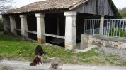 Lavoir de MIRAMBEAU