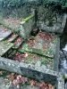 Lavoir de ST SAVINIEN