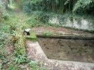Lavoir de ST SAVINIEN