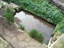 Lavoir de ST SAVINIEN