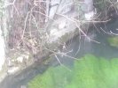 Lavoir de ST JEAN D ANGELY
