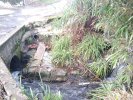 Lavoir de TONNAY CHARENTE