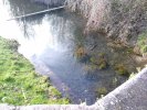 Lavoir de ST ROMAIN DE BENET