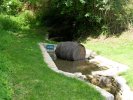 Lavoir de ST SAUVANT