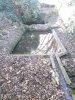 Lavoir de BURIE