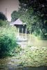Lavoir de JUSSY LE CHAUDRIER