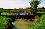 Lavoir de STE GEMME EN SANCERROIS