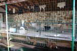 Lavoir de NANCAY