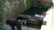 Lavoir de SEGUR LE CHATEAU