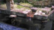 Photo envoyée par Vero BPB le 06/06/2015 à 18h55