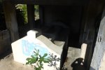 Lavoir de SAN MARTINO DI LOTA