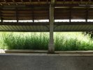 Lavoir de BEIRE LE FORT