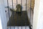 Lavoir de SEGROIS