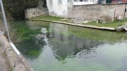 Lavoir de PLOMBIERES LES DIJON