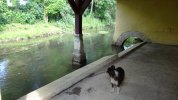 Lavoir de BRAZEY EN PLAINE