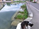 Lavoir de MONTBARD