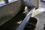 Lavoir de BOUX SOUS SALMAISE