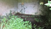 Lavoir de LANNION