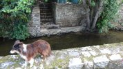 Lavoir de LAMBALLE