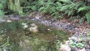 Lavoir de PLEUMEUR BODOU