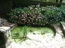 Lavoir de PLOUEZEC