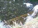 Lavoir de PLOUEZEC