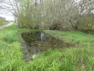 Lavoir de ST HILAIRE LA PLAINE