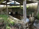 Lavoir de ST HILAIRE LA PLAINE