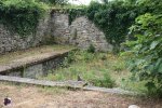 Lavoir de ST GEORGES LA POUGE