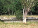 Photo envoyée par Tom le 10/11/2016 à 18h07