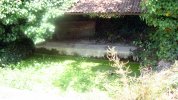 Lavoir de SAUSSIGNAC