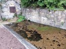 Lavoir de CASTELNAUD LA CHAPELLE
