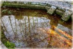 Photo envoyée par MariePierre le 08/02/2019 à 19h19