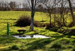 Lavoir de ST SULPICE DE MAREUIL