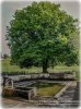 Lavoir de MILHAC DE NONTRON