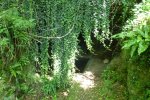 Lavoir de TREMOLAT