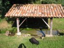 Lavoir de ST JEAN DE COLE