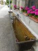 Lavoir de PETITE CHAUX