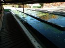 Lavoir de PIERREFONTAINE LES BLAMON