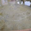 Lavoir de GRIGNAN