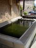 Lavoir de VALAURIE