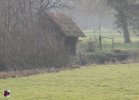 Washhouse of ST PIERRE DE CERNIERES